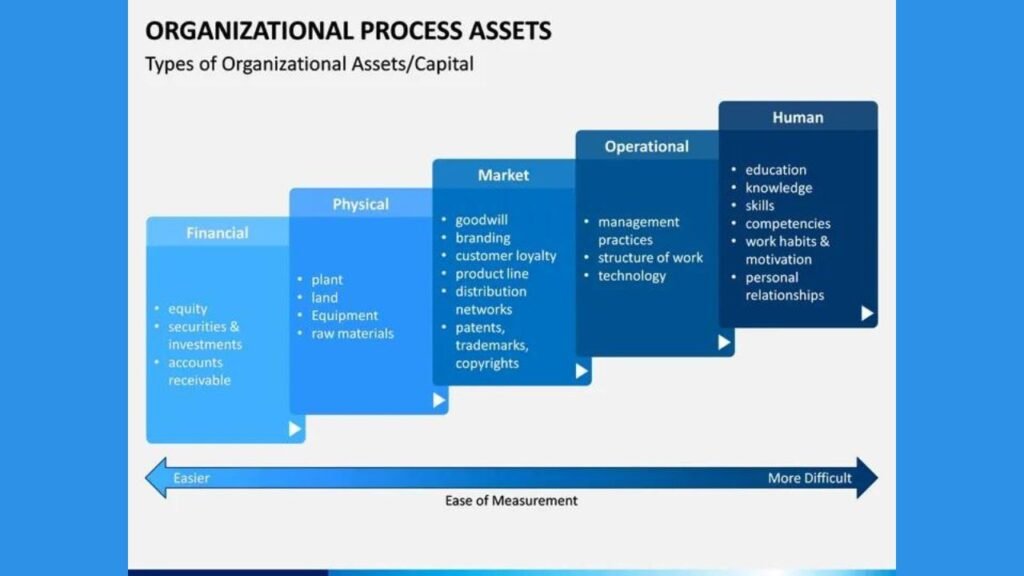 Examples of Organizational Process Assets