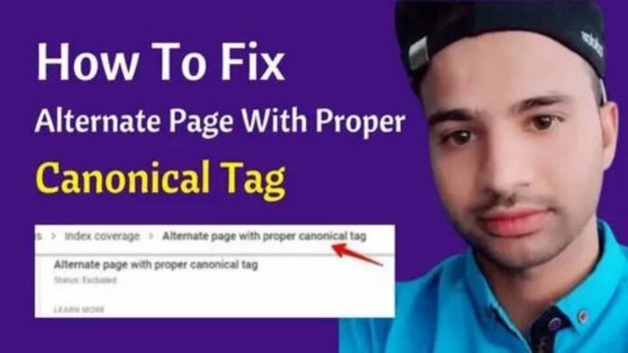 How to Fix Alternate Page with Proper Canonical Tag in Local SEO